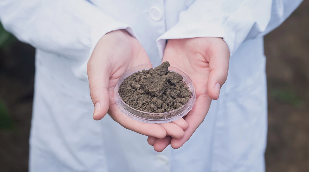 Monitoraggio e resilienza del suolo: la Direttiva Europea per la tutela ambientale